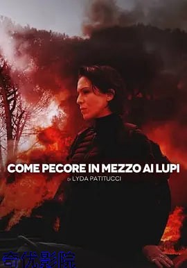 卧底羔羊